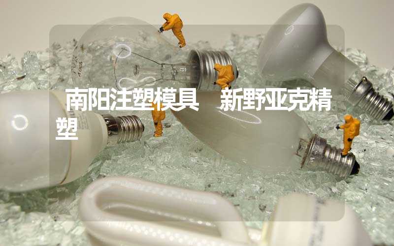 南阳注塑模具 新野亚克精塑